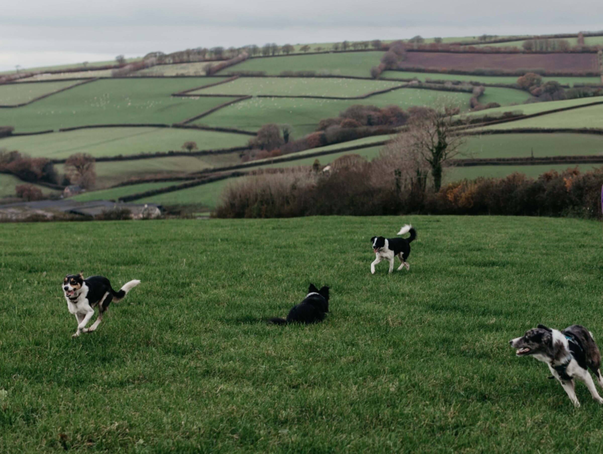 Photographs of North Molton Village.